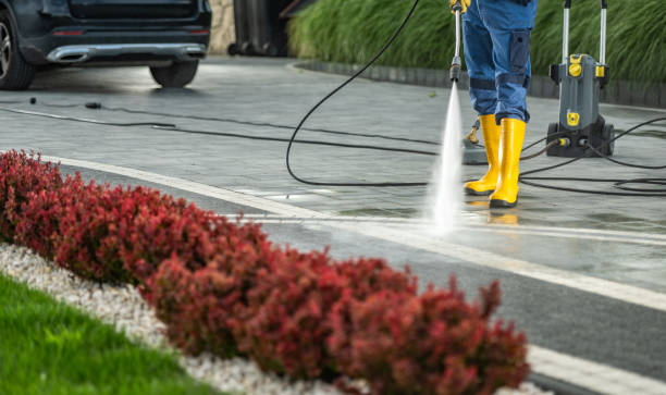 Trusted Camanche North Shore, CA Pressure Washing Experts