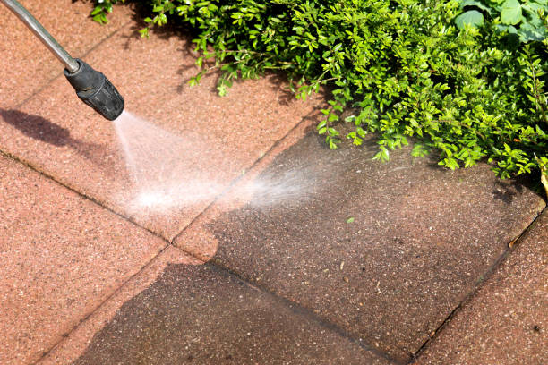 Best Exterior Home Cleaning  in Manche North Shore, CA